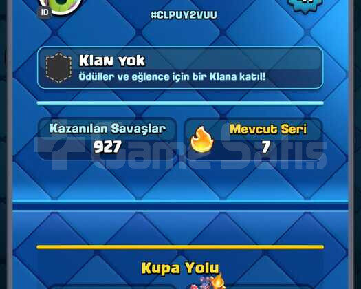 8100 KUPA 41 SEVİYE 5 EVRİM  5 MAX KART