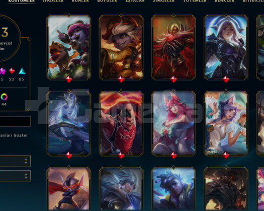 lol+ valo hesap valo champions 2024 setli