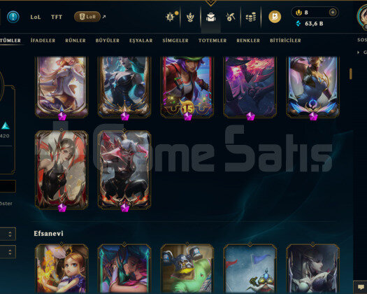 875 LEVEL / 866 SKİN / FUL HERO +MAİL +8300 SATIŞ