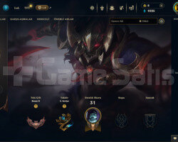 TR 5 SKIN 45 HERO BRONZ 2 GOBLIN HESAP KASMALIK