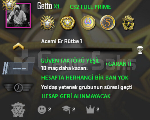 CS2 Prime | 5 Madalya | Yeşil Faktör + Garanti