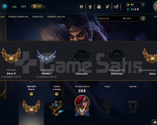TR 21 SKIN 63 HERO 71 LV SOLOQ ALTIN 2 SMURF HESAP