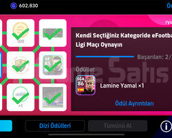 nadirlik zincir