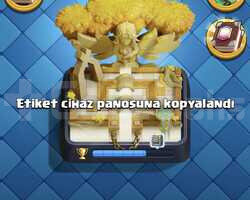 9300 KUPA 54 SEVİYE 7 EVRİM 5 ELİT KART
