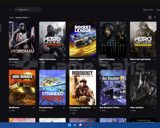 16500+ TL değerinde 209 oyunlu epic games hesabı