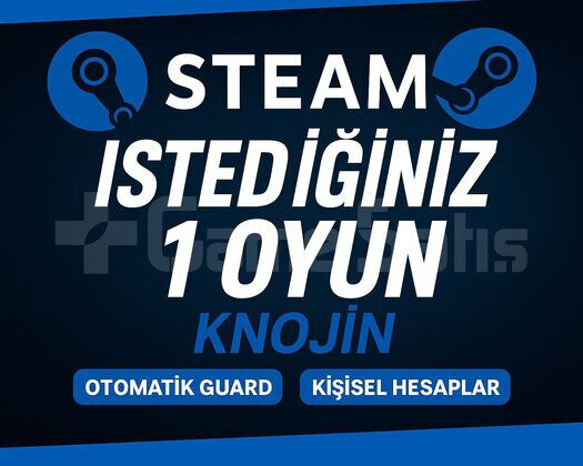 İSTEDİĞİNİZ 1 OYUN OTO GUARD + DESTEK
