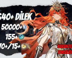 EU | UL35+ 640+ Dilek - 50000+ Astrite 155 70 15