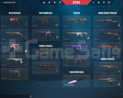 GÜVENİLİR SATICIDAN VCT 2023-2024+Arcane Bundle