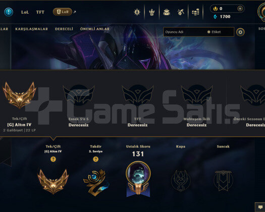 TR 10 SKIN 43 HERO GOLD 4 SMURF HESAP AÇIKLAMA OKU