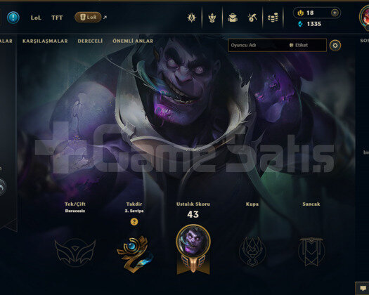 EUW EFSANEVI AKALİ SKINLI 25 HERO 30A KASMALIK ACC