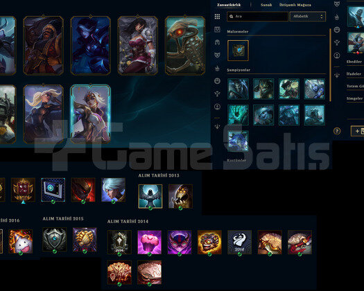 TR 9 SKIN 46 HERO 34 LVL 2011 KURULUM 92WR SMURF