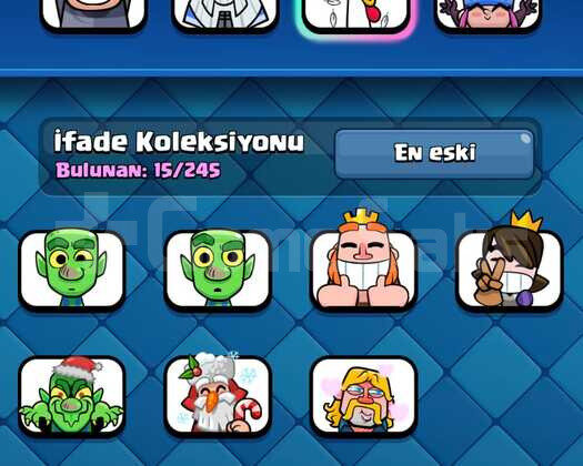 6800 KUPA KELEPİR  31 SEVİYE