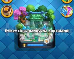 6800 KUPA KELEPİR 31 SEVİYE