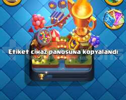 8000 KUPA 41 SEVİYE KELEPİR