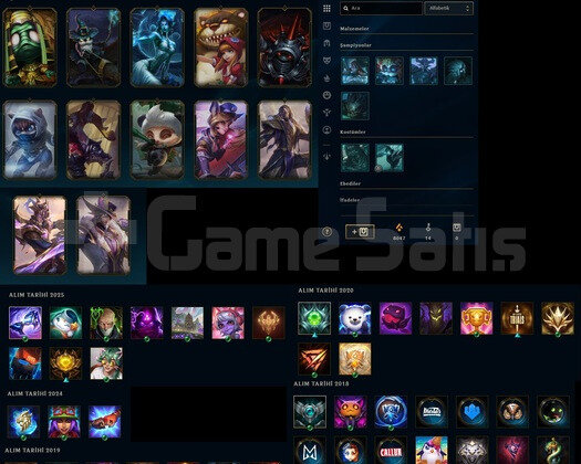 TR 19 SKIN 67 HERO FLEX 80 WR GOLD 1 HESAP