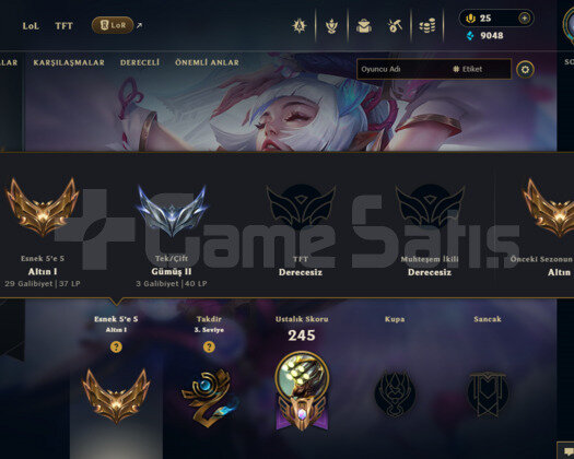 TR 19 SKIN 67 HERO FLEX 80 WR GOLD 1 HESAP
