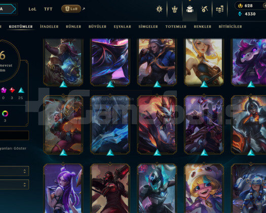 TR GOLD 2 / 46 KOSTÜM / 85 HERO / 178 LV