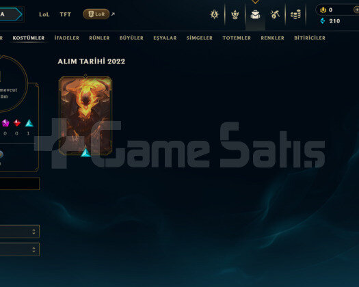 TR FLEX GOLD 1 / SOLOQ BRONZ 4