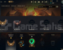TR FLEX GOLD 1 / SOLOQ BRONZ 4