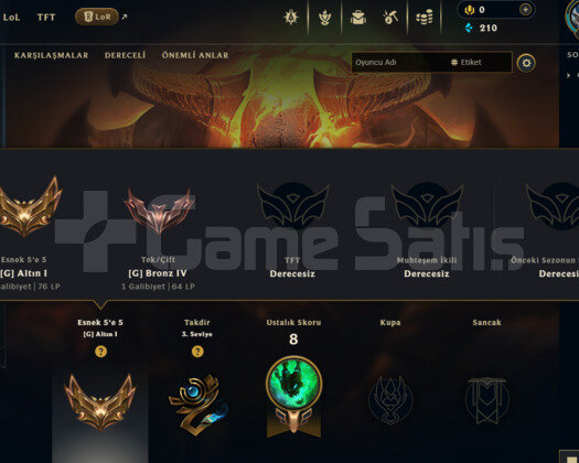 TR FLEX GOLD 1 / SOLOQ BRONZ 4