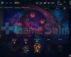 EUW Unranked | 3 Kostüm - 39 Hero | RANKED READY