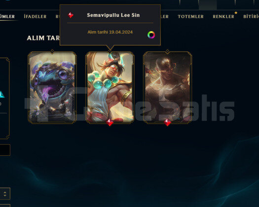 GEÇEN SEZON PLAT / DERECELİ HAZIR/ 2 LEE KOSTÜM