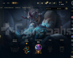 EUW 16 LEVEL HANDMADE MAİLLİ 5 SKİNLİ FRESH HESAP!