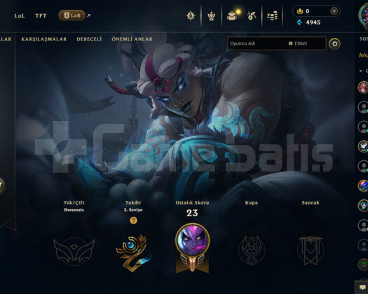 EUW 16 LEVEL HANDMADE MAİLLİ 5 SKİNLİ FRESH HESAP!