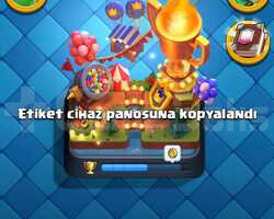 8200 KUPA 49 SEVİYE 2 EVRİM KELEPİR