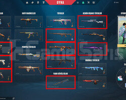 RGX KELEBEKLİ//BOL SKİNLİ//MAİNLİK ACC!!