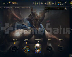 EUW 30 LEVEL HANDMADE 2012YILINDA HESAP FRESH!!!