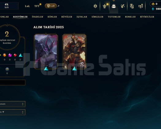 EUW GÜMÜŞ 4 HANDMADE YÜKSEK LP GAİN