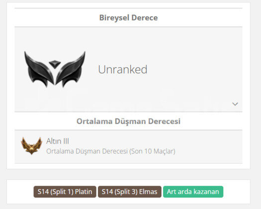 GEÇEN SEZON ELMAS / DERECELİ HAZIR / 42 LEVEL