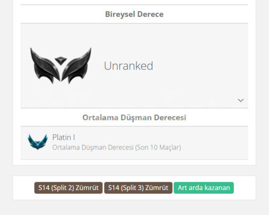 GEÇEN SEZON ZÜMRÜT / DERECELİ HAZIR / 16 BİN MAVİ