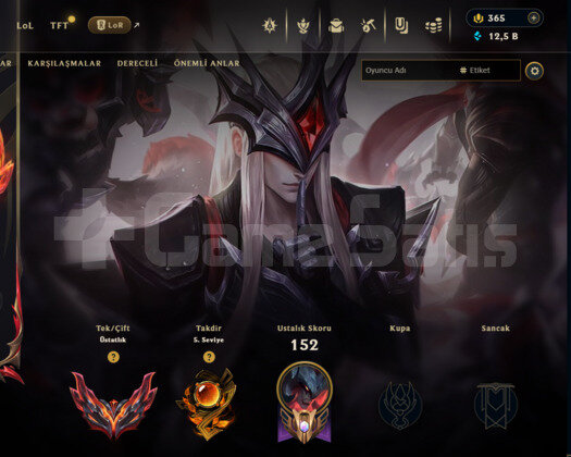 TR GRANDMASTER HANDMADE TERTEMİZ HESAP