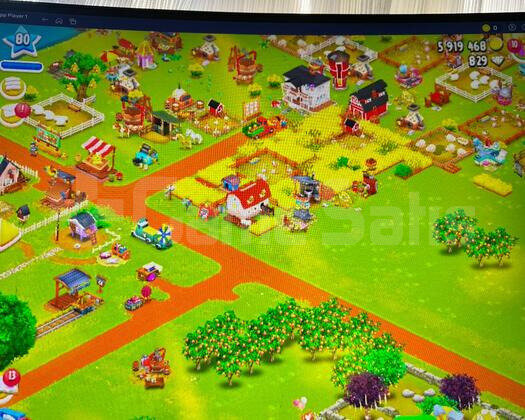 80 LVL 6000 AĞIL FIRSAT HESABI