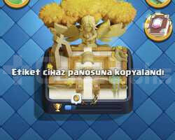 48 SEVİYE 9000 KUPA 4 EVRİM KELEPİR HESAP
