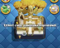 9000 KUPA 62 SEVİYE 18 EVRİM 25 ELİT KART