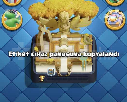 9000 KUPA 62 SEVİYE 18 EVRİM 25 ELİT KART