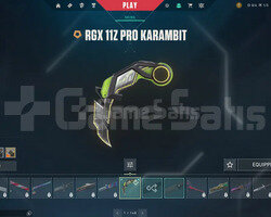TR + MAİL DEĞİŞEN + 3 RGX + SİLVER 1 + MAİNLİK!!!!