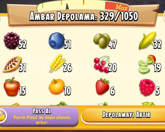 60 Level 4050 Ağıl Kapasiteli Altınlı Hesap