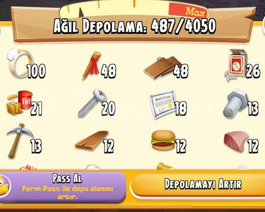 60 Level 4050 Ağıl Kapasiteli Altınlı Hesap