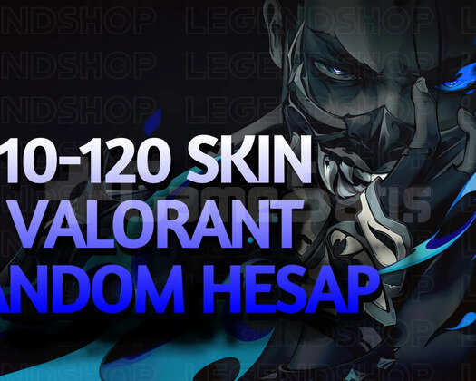 VIP | 10-120 SKİN GARANTİ | RANDOM HESAP