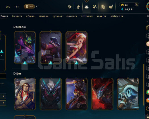 TR 41 LEVEL HANMADE DEMİR 4 MAİLLİ 11 SKİNLİ HESAP