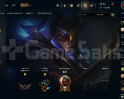 TR 41 LEVEL HANMADE DEMİR 4 MAİLLİ 11 SKİNLİ HESAP