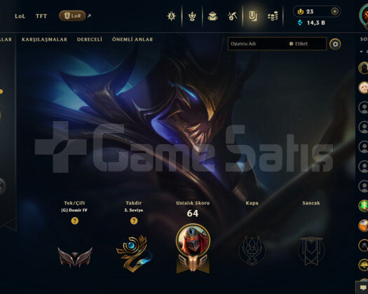 TR 41 LEVEL HANMADE DEMİR 4 MAİLLİ 11 SKİNLİ HESAP