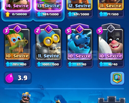 8600 kupa 7 evrim