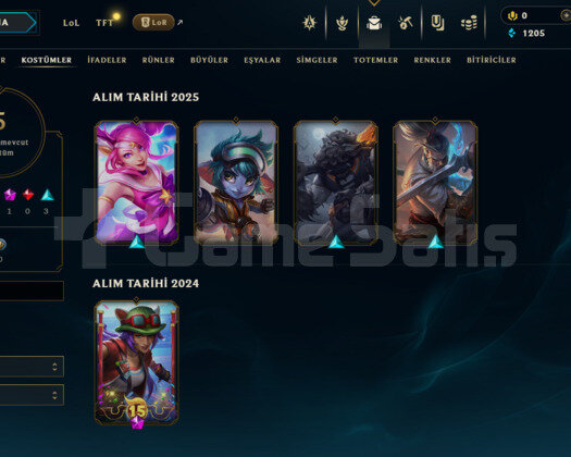 EUW GOLD 4 / 5 KOSTÜM