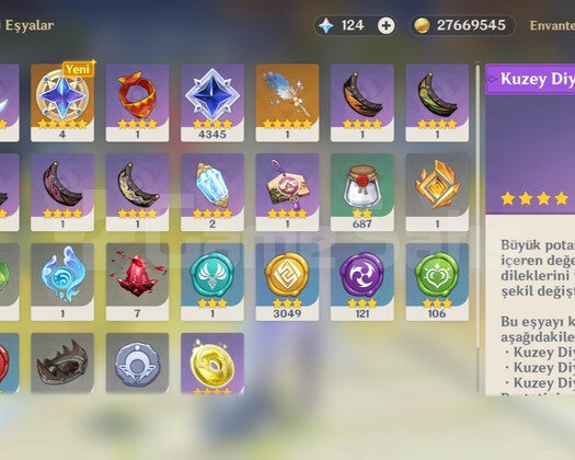 Ar 54 | RATE UP C1 SKİRK GENSHİN HESAP