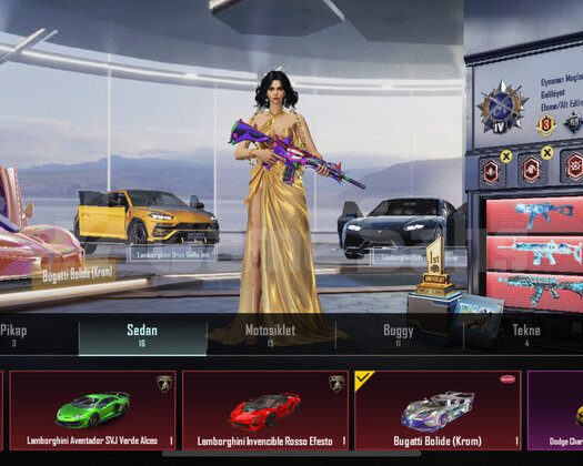 10 SPOR ARABA 30 NİHAİ 6 MAX SİLAH 2 ELDİVEN DOLU